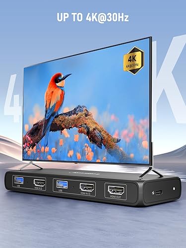 4K display with a bird on screen and multiple ports on a blue background