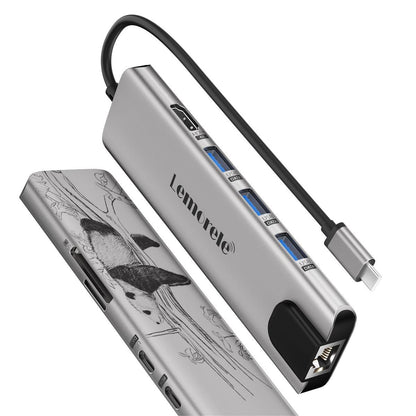 Lemorele USB-C Hub for Laptop with 4K HDMI Port | 9-in-1 - TC39Panda