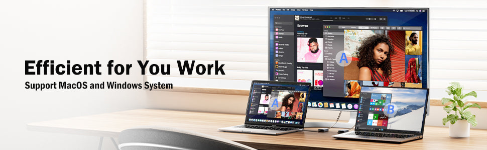 Inner Page Gallery Image